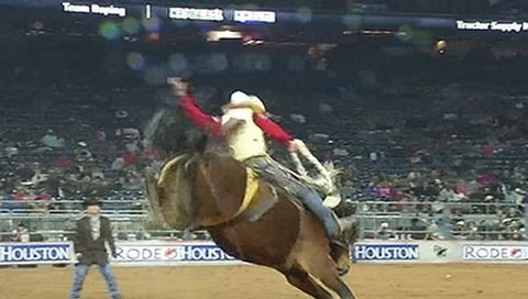 Houston Rodeo: Cowboys, Horses, and Doctors