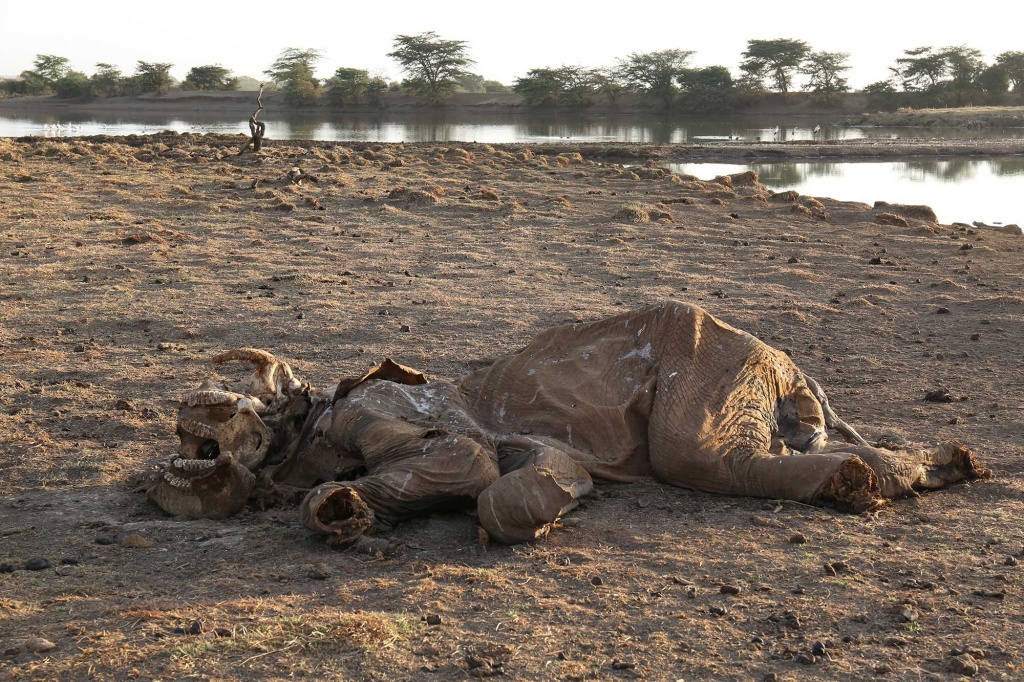 Drought, Political Maneuvering Blamed for Central Kenya’s Unrest